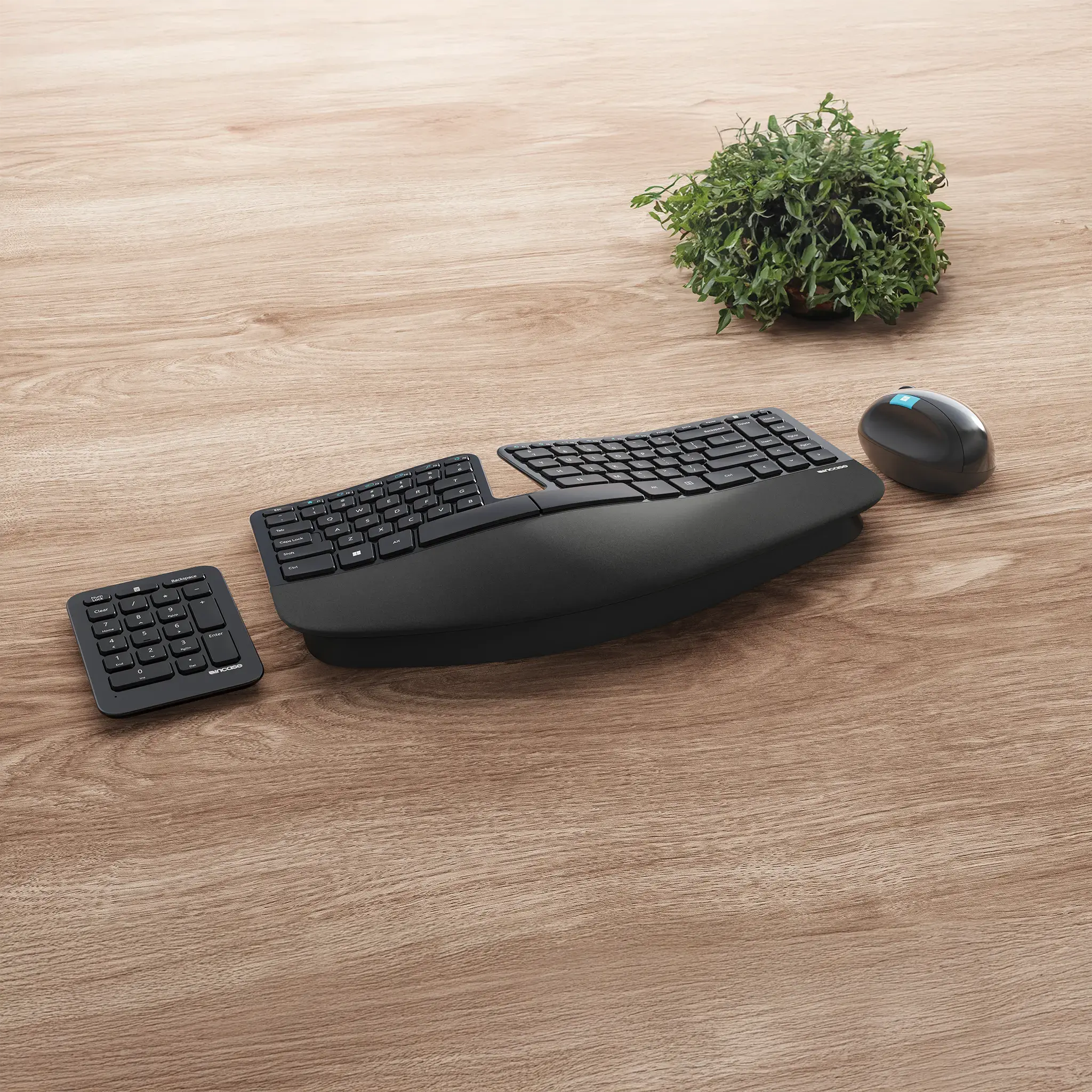 Incase Designed by Microsoft™ Sculpt Ergonomic Desktop - EU - Image 2